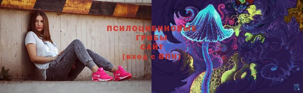 spice Елабуга