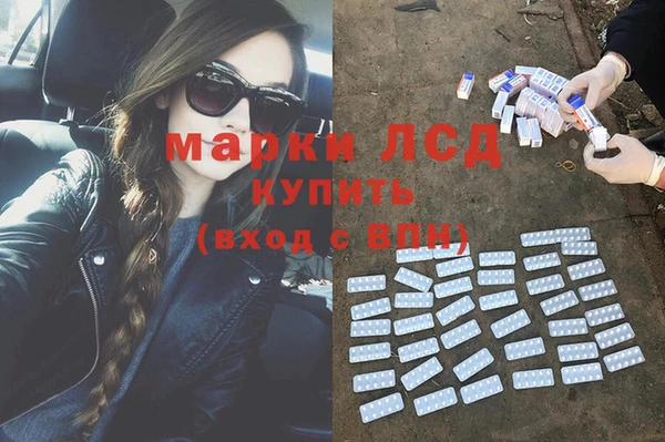 spice Елабуга