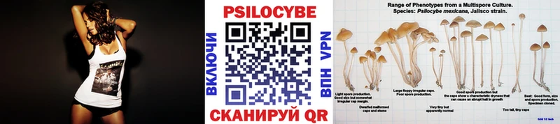 Галлюциногенные грибы Psilocybe  Заозёрск 